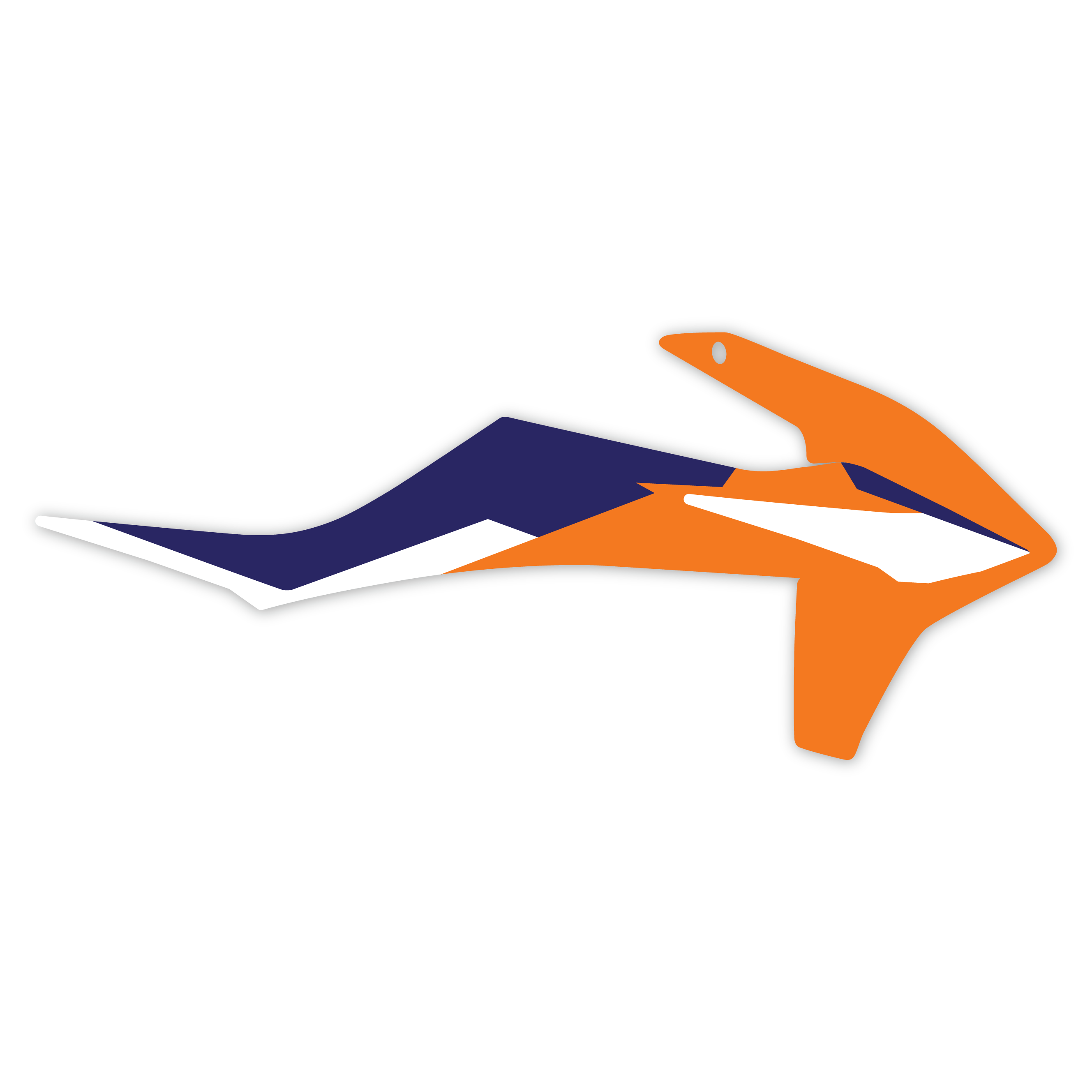 Rad Shrouds // Reprint